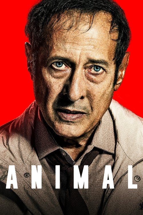 Animal Poster