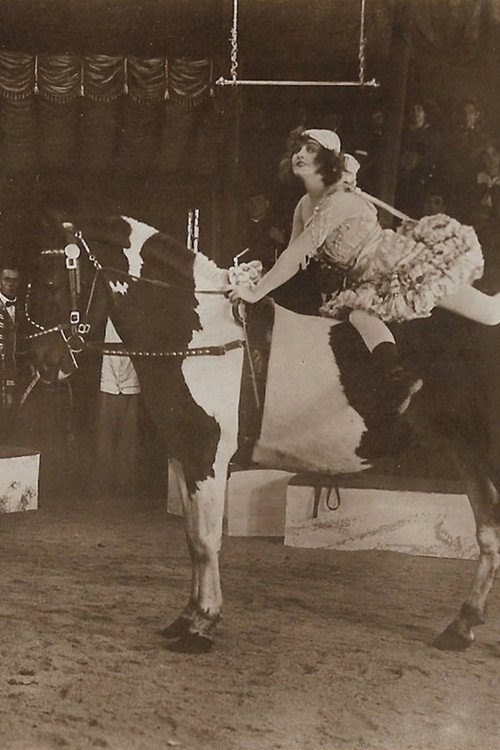 Um Krone und Peitsche Poster