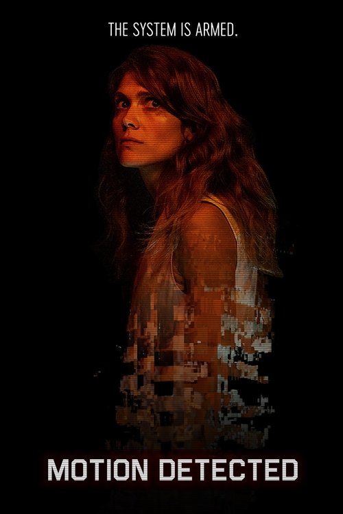 Motion Detected Poster