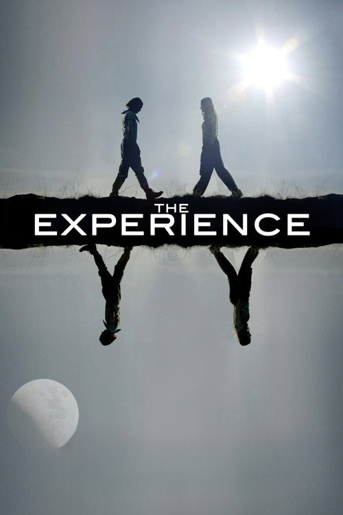 The Experience Poster