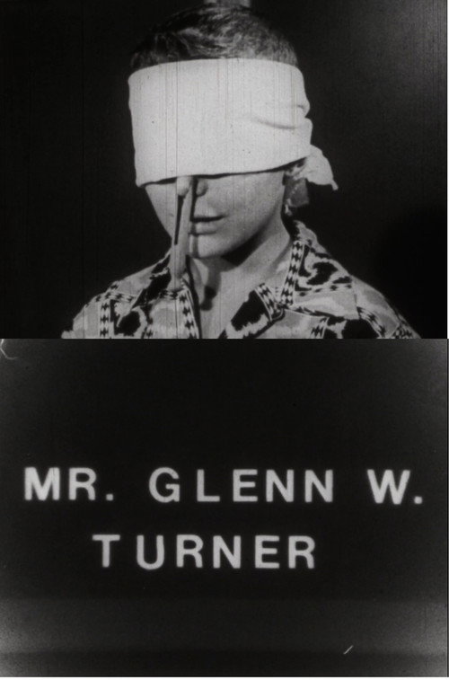 Mr. Glenn W. Turner Poster