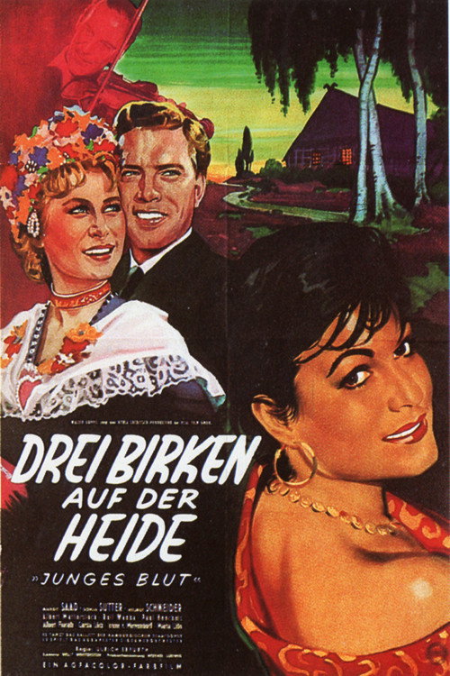 Drei Birken auf der Heide Poster