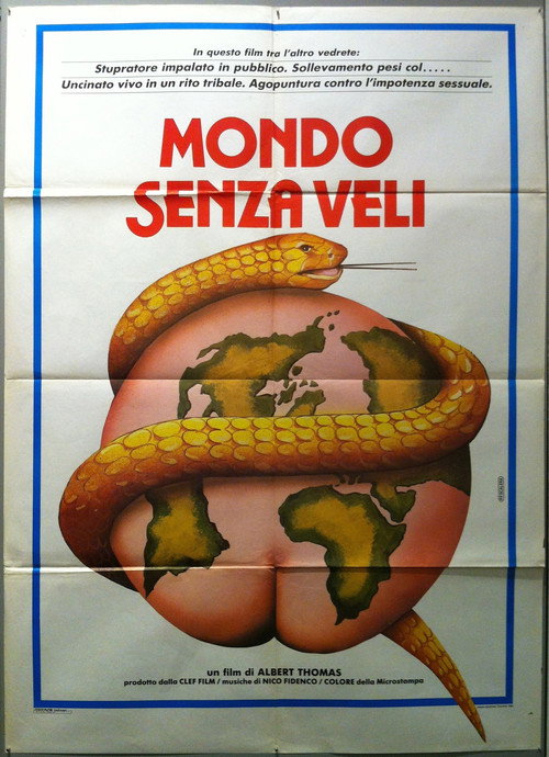 World Without Veils Poster