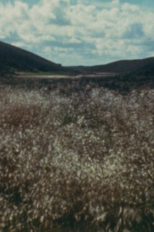 Ja, Ja. Drømmeland Poster