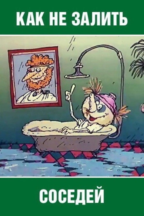 How Not to Flood the Neighbors Poster