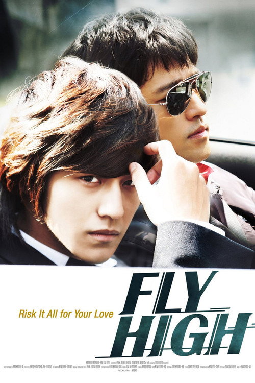 Fly High Poster