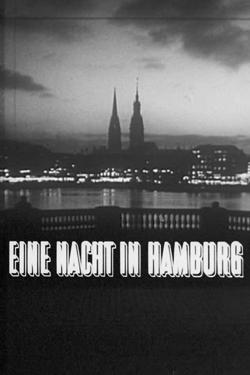 Eine Nacht in Hamburg Poster