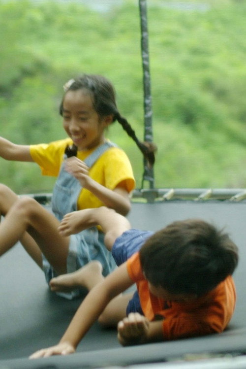 BangBang and Planaria Poster