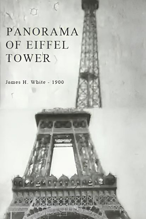 Panorama of Eiffel Tower Poster