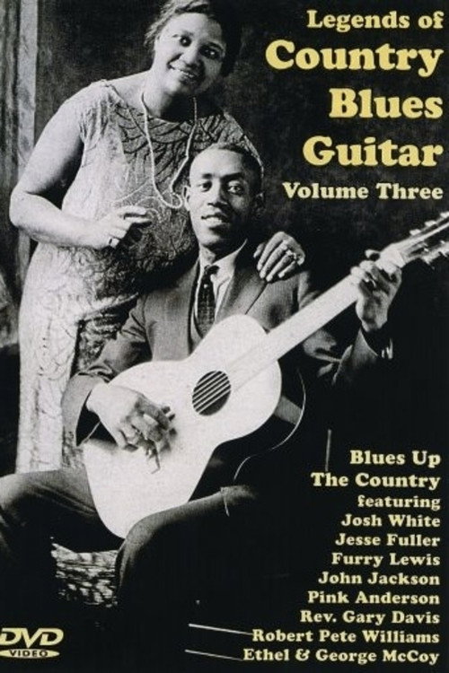 Legends of Country Blues Guitar: Vol. 3 Poster