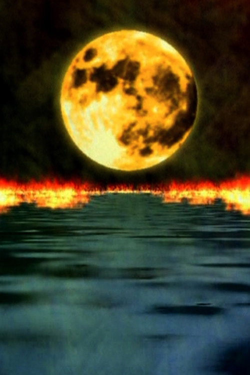 Mass in A-minor Poster