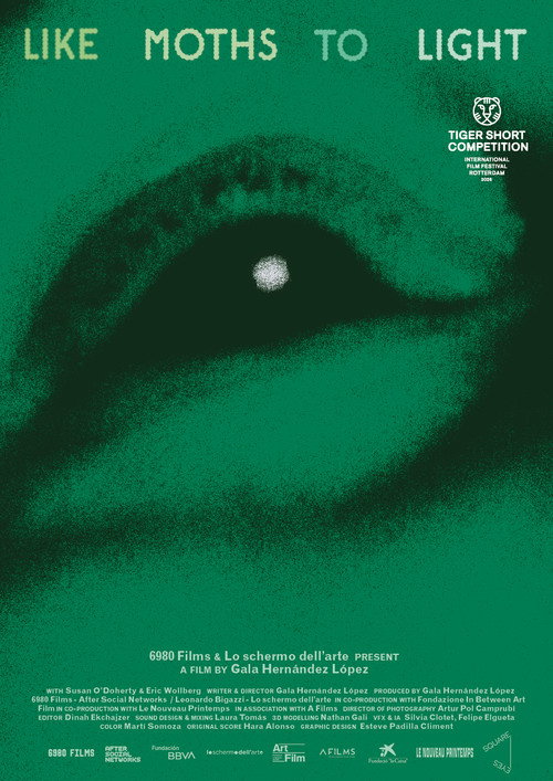 like moths to light Poster