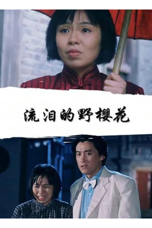 流泪的野樱花 Poster