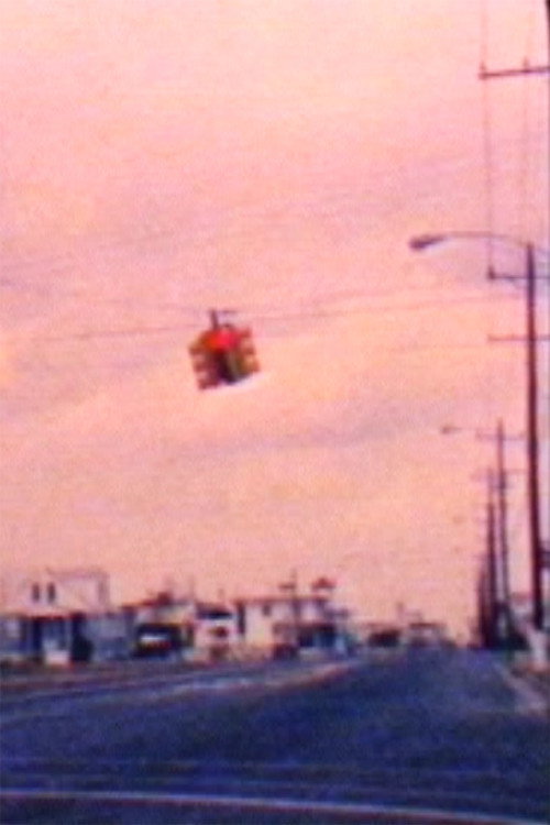 S-8 Diary: Wildwood 2/88 Poster