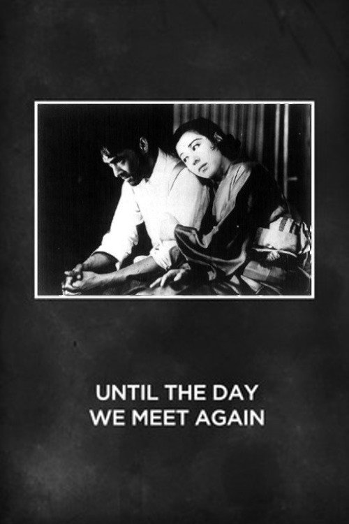 Until the Day We Meet Again Poster