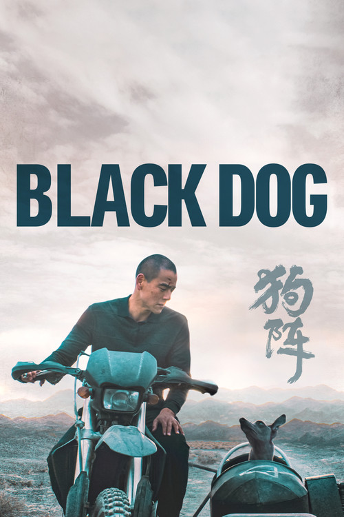 Black Dog Poster