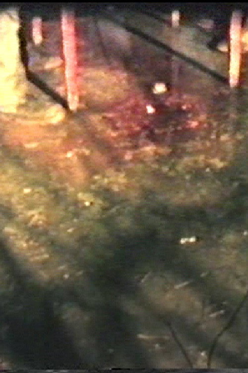 Slaughter Ahoy Poster