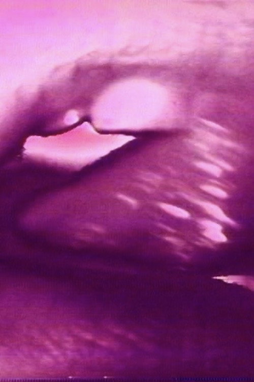 Hot Pink Poster