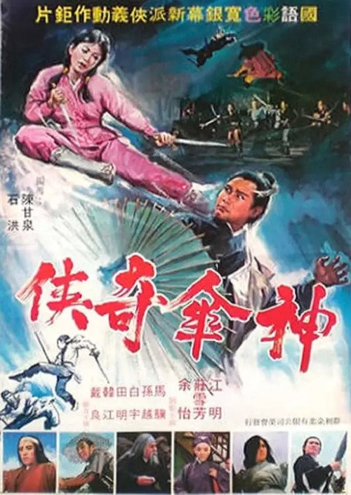 Swordsman With an Umbrella Poster