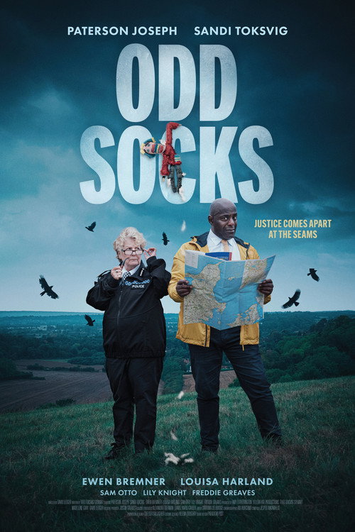 Odd Socks Poster