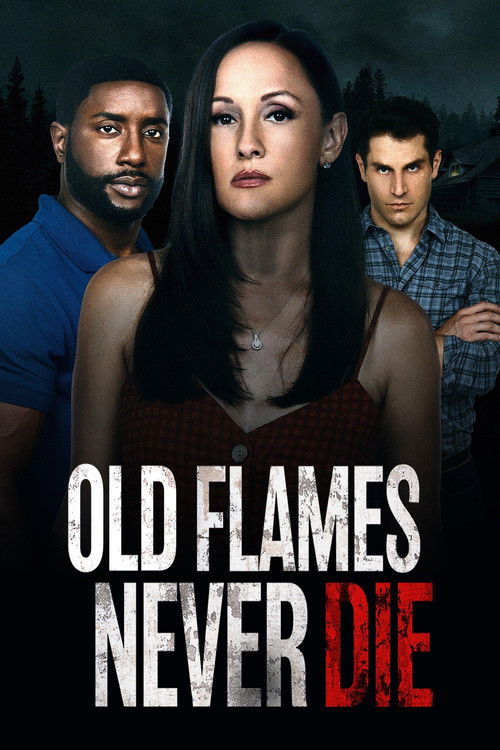 Old Flames Never Die Poster