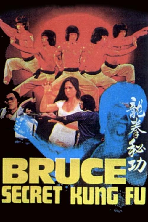 Bruce's Secret Kung Fu Poster