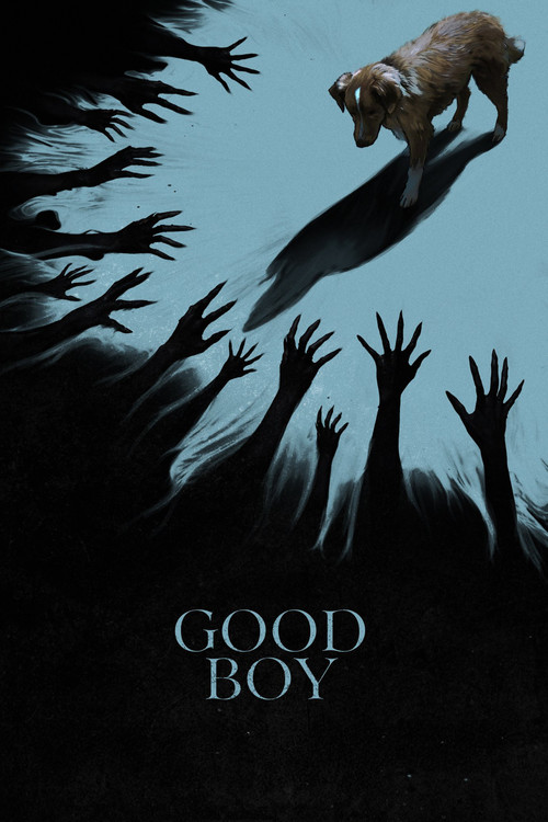 Good Boy Poster