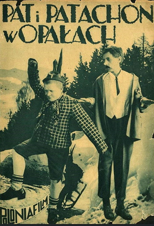 Schwiegersöhne Poster