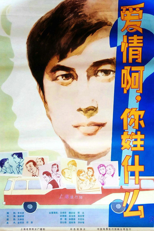 爱情啊！你姓什么 Poster