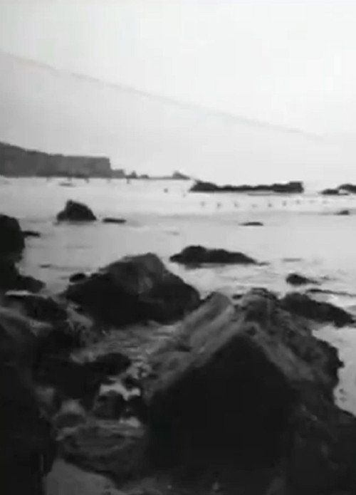 Christo Running Fence Reels: Charlie II Poster