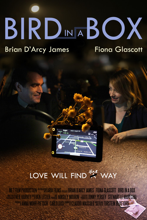 Bird in a Box Poster