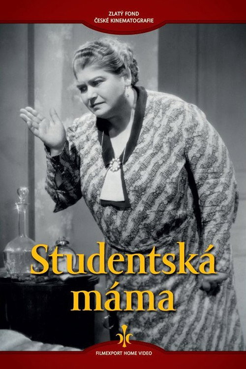 Studentská máma Poster