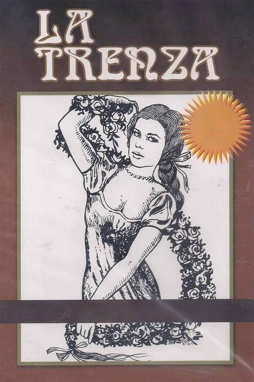 The Braid Poster