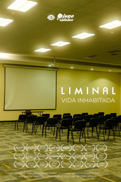LIMINAL Poster