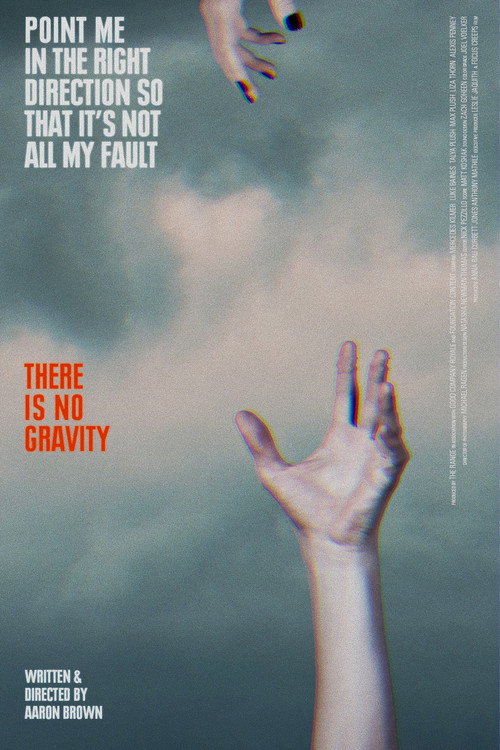 There Is No Gravity Poster
