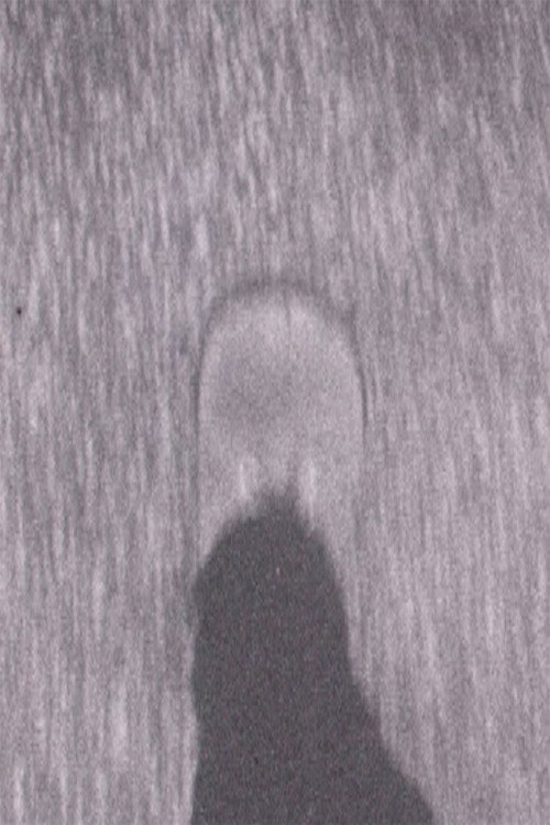 Little Feet Poster