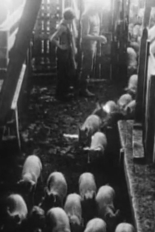 Baby in a Rage Poster