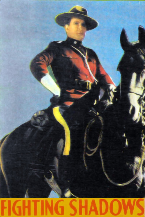 Fighting Shadows Poster