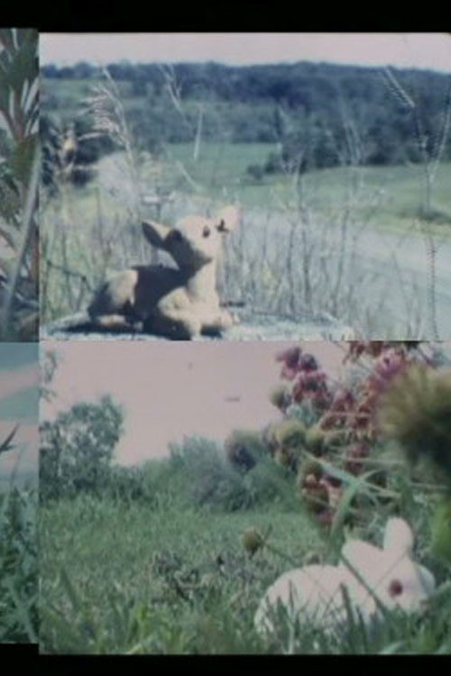 Precious Little Tiny Love Poster