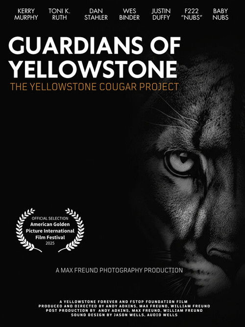Guardians of Yellowstone: The Yellowstone Cougar Project Poster