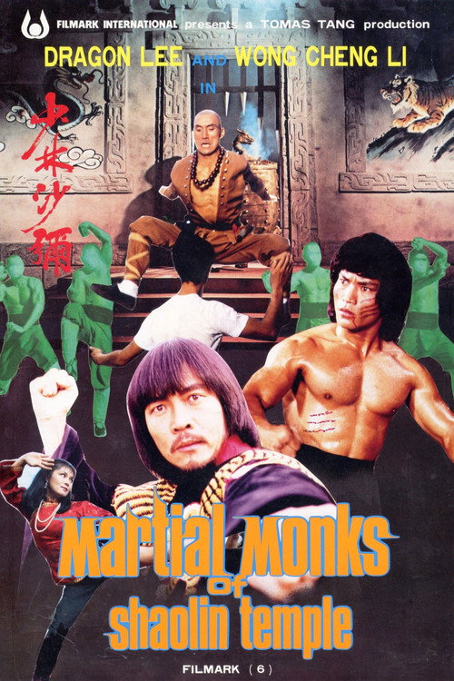 Martial Monks of Shaolin Temple Poster