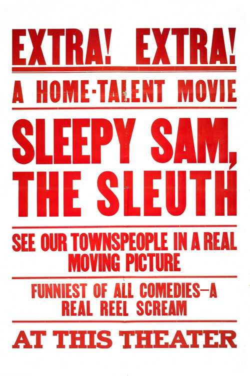 Sleepy Sam, the Sleuth Poster