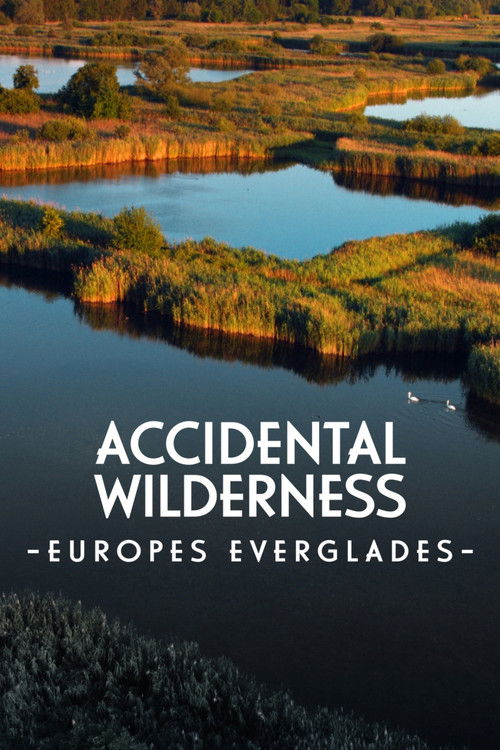 The Accidental Wilderness: Europe's Everglades Poster