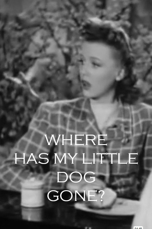 Where Has My Little Dog Gone Poster