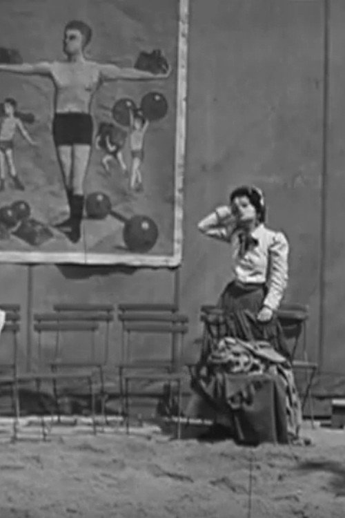 The Wrestler's Wife Poster