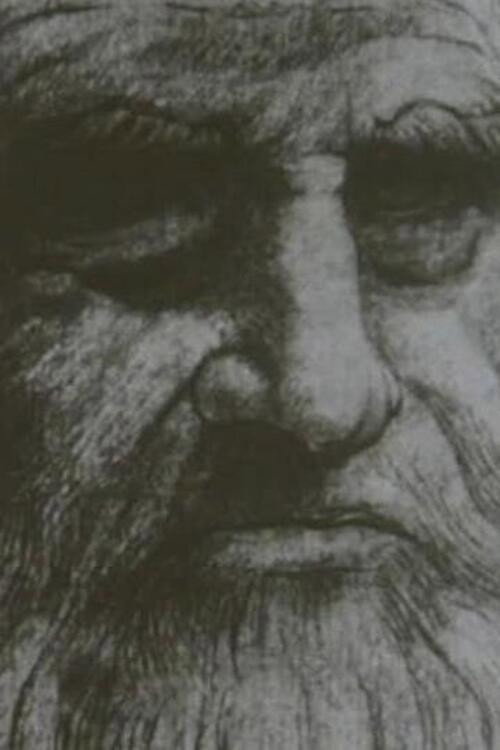 Leonardo Da Vinci The Tragic Pursuit of Perfection Poster
