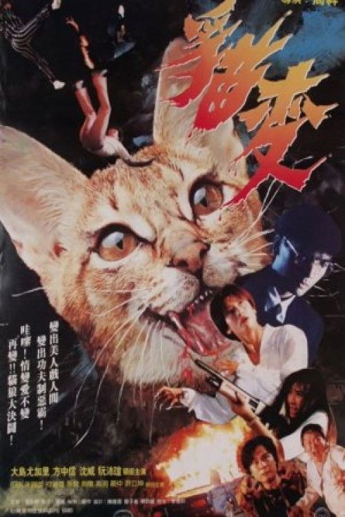 Devil Cat Poster