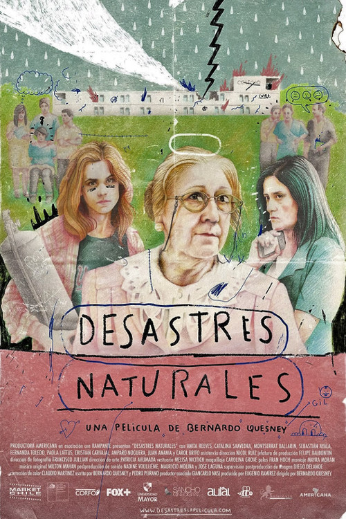 Natural Disasters Poster