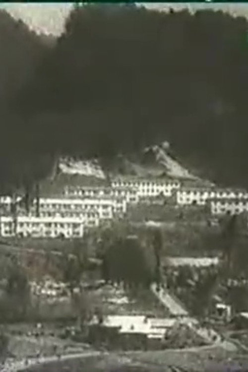 City of Tkvarchela Poster