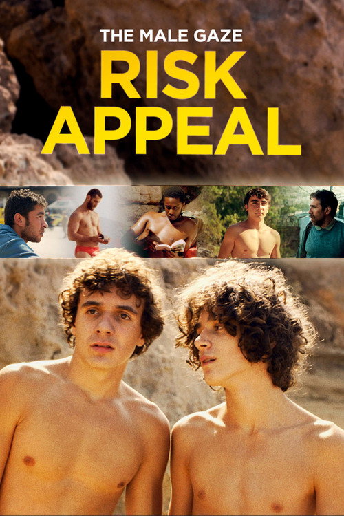 The Male Gaze: Risk Appeal Poster